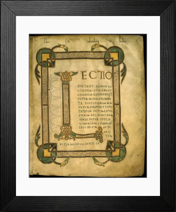 Framed Print : Capital L, by Unknown Artist, 9th - 10th Century, manuscript - Italy, Piedmont, Turin, National University Library. Detail. Illuminated capital letter Ms. F. II, Lezionario, f. 5