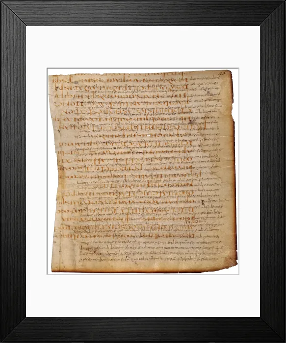 Framed Print : Ancient fragments of Lucan, Pelagonio and other texts, by Unknown Artist, 11th Century - Italy, Campania, Naples, National Library Vittorio Emanuele the 3rd. Whole artwork view