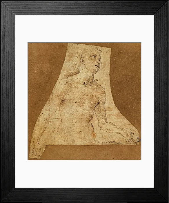 Framed Print : Benci Antonio known as il Pollaiolo, Male Figure, 1431 - 1498, 15th Century, Unknow, Italy, Tuscany, Florence, Uffizi Gallery, Drawings and Prints Cabinet