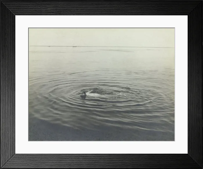 Framed Print : Toulouse-Lautrec Swimming in the Bassin d'Arcachon, by Maurice Guibert, 1896, photograph. Toulouse-Lautrec swimming in the sea near Bordeaux (BSLOC_2016_2_144)