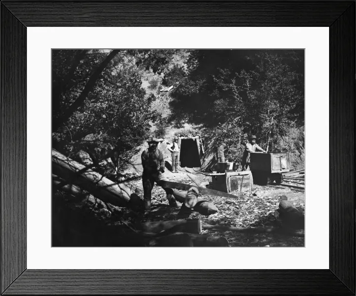 Framed Print : Four men working in Californias Sierra Nevada gold mining district, 1870-1900. In the foreground a man saws wood for bracing the underground mine shaft Framed Print : Four men working in Californias Sierra Nevada gold mining district, 1870-1900. In the foreground a man saws wood for bracing the underground mine shaft