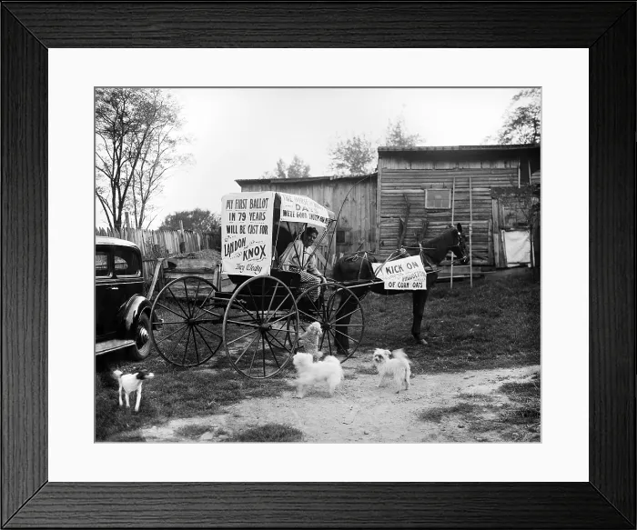 Framed Print : Mrs. Lucy O'Leary, 79, clearly supports Republican Presidential candidate Alf Landon. Her signs announce she will cast her first vote on Nov