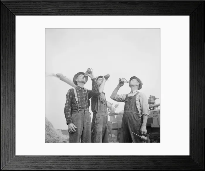 Framed Print : Farmers drinking beer during fall harvest in Jackson, Michigan. Fall 1941. In the background is a potentially dangerous harvesting machine, that requires alert workers Framed Print : Farmers drinking beer during fall harvest in Jackson, Michigan. Fall 1941. In the background is a potentially dangerous harvesting machine, that requires alert workers