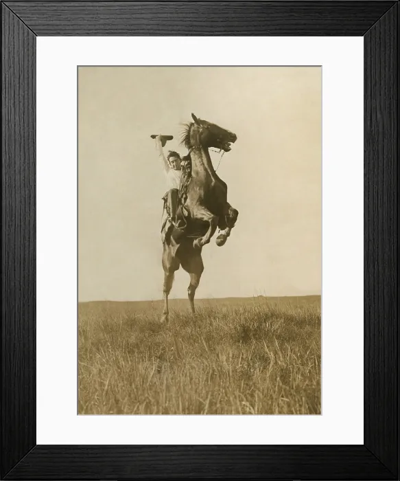 Framed Print : Photographer Erwin E. Smith Riding a sunfisher, and he is not pulling leather, in Texas, 1908. A sunfisher is bucking horse that twists his body in the shape of a crescent