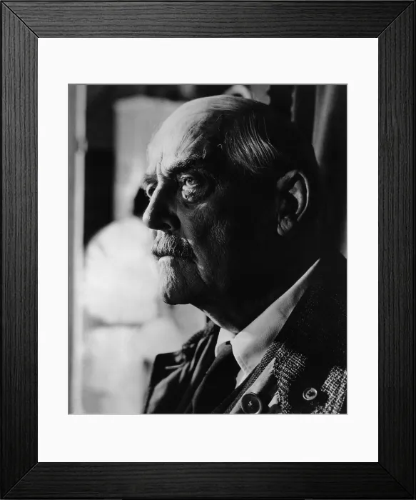 Framed Print : WILD STRAWBERRIES, (aka SMULTRONSTALLET), Victor Sjostrom, 1957