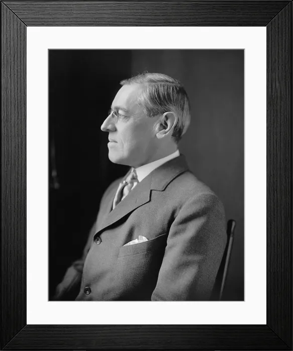 Framed Print : President Woodrow Wilson, profile portrait, c. 1913-1916 (BSLOC_2016_11_7)