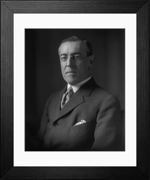 Framed Print : President Woodrow Wilson, bust portrait, c. 1914-1916 (BSLOC_2016_11_8)