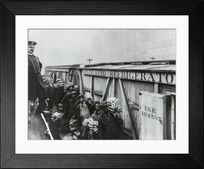 Framed Print : Food and Drug Administration inspector ready to inspect bananas in Baltimore, c. 1910. African American men stand with a fruit next to refrigerated railroad boxes Framed Print : Food and Drug Administration inspector ready to inspect bananas in Baltimore, c. 1910. African American men stand with a fruit next to refrigerated railroad boxes