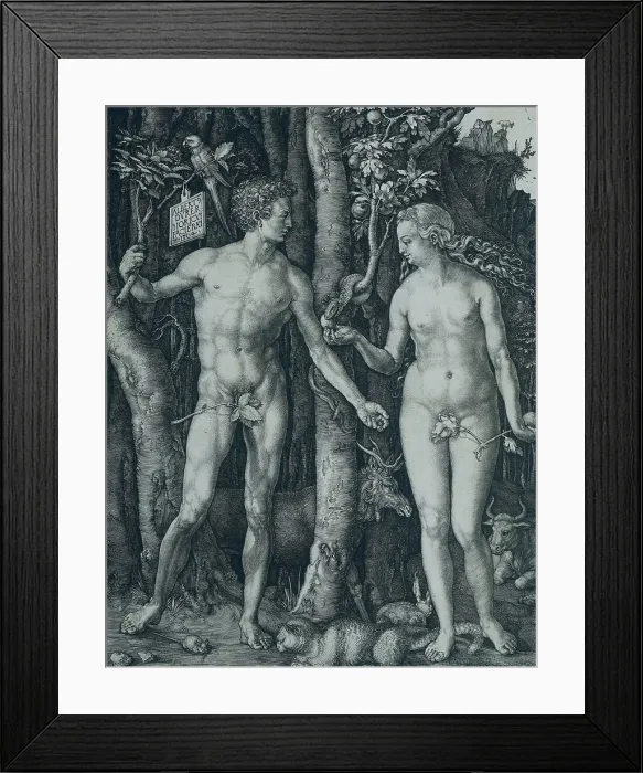 Framed Print : Adam and Eve, by Albrecht Durer, 1504, German print, copper engraving. Eve has just taken the forbidden fruit from the serpent (BSLOC_2016_2_179)