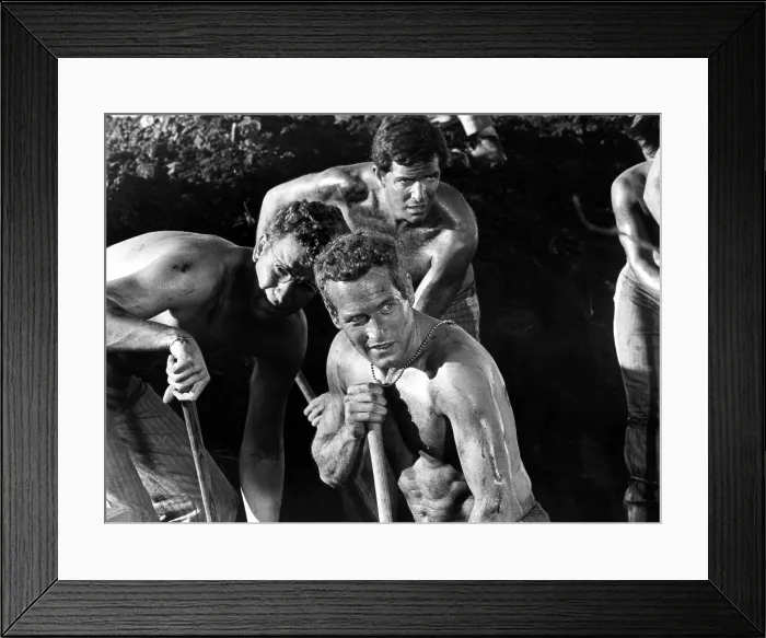 Framed Print : COOL HAND LUKE, Paul Newman, 1967
