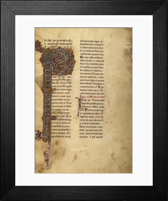 Framed Print : Illuminated Capital P. Evangeliario, ms. 11, f.1, 12th Century, miniature - Italy, Sicily, Messina, Seminary. Whole artwork view. Capital P decorated with vegetal patterns