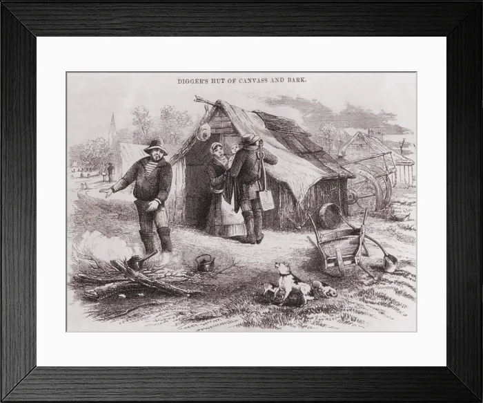 Framed Print : Gold diggers hut of canvas and bark in the Australian gold fields in the 1850s. The Australian population of 437, 655 doubled in the 1850's stimulated by the gold rush