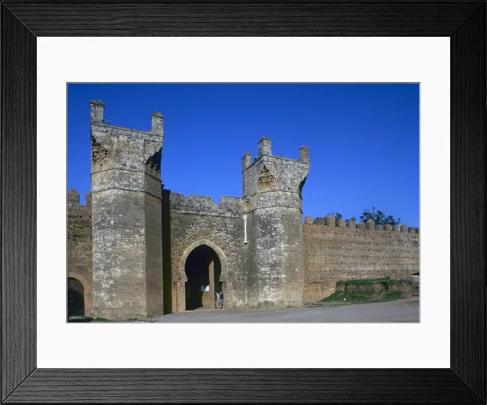 Framed Print : Necropolis of Chellah, 1310-1339, 14th Century, stone - Whole artwork view