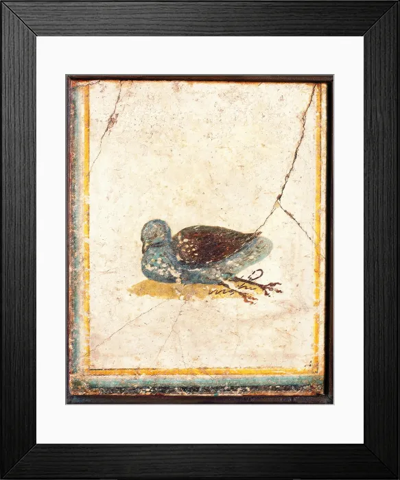 Framed Print : Birds, by unknown artist, 10-45, 1st Century A.D. ripped fresco, 26 x 21 cm - Italy, Campania, Naples, National Archaeological Museum, Room LXXVII, inv. 8728. Whole artwork view