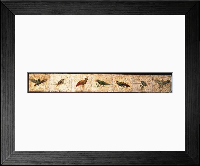 Framed Print : Birds and Peacocks, by unknown artist, 54-69, 1st Century A.D. ripped fresco, 11 x 89 cm - Italy, Campania, Naples, National Archaeological Museum, Room LXXVII, inv. 8712