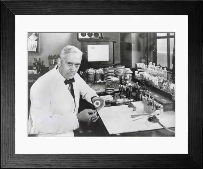 Framed Print : Dr. Alexander Fleming, (1903-1972), Scottish biologist who discovered antibiotic penicillin in 1928 Framed Print : Dr. Alexander Fleming, (1903-1972), Scottish biologist who discovered antibiotic penicillin in 1928