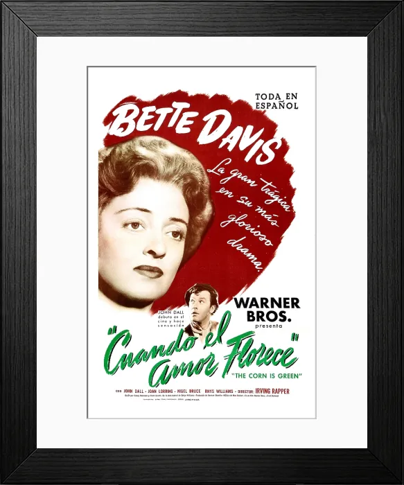Framed Print : THE CORN IS GREEN, (aka CUANDO EL AMOR FLORECE), Spanish language poster, top left: Bette Davis, bottom: John Dall, 1945 Framed Print : THE CORN IS GREEN, (aka CUANDO EL AMOR FLORECE), Spanish language poster, top left: Bette Davis, bottom: John Dall, 1945