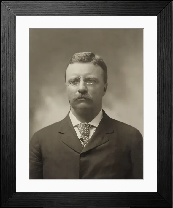Framed Print : New York Governor Theodore Roosevelt in July 1900 by George Prince. Bust portrait taken as incumbent President William McKinleys running mate (BSLOC_2017_4_31)