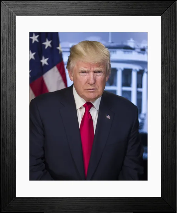 Framed Print : President Donald Trump in a portrait posted on the White House website on Jan. 20, 2017 Framed Print : President Donald Trump in a portrait posted on the White House website on Jan. 20, 2017