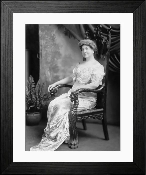 Framed Print : Ellen Louise Axson Wilson, President Woodrow Wilsons first wife, in the second year of his presidency (BSLOC_2016_11_17)