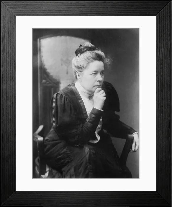Framed Print : Selma Lagerlof was awarded the 1909 Nobel Prize for Literature. Her most famous work is a childrens book, THE WONDERFUL ADVENTURES OF NILS HOLGERSSONS, 1907 (BSLOC_2016_11_170)