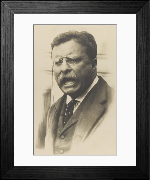 Framed Print : Former President Theodore Roosevelt speaking, c. 1911-12 (BSLOC_2017_8_42) Framed Print : Former President Theodore Roosevelt speaking, c. 1911-12 (BSLOC_2017_8_42)