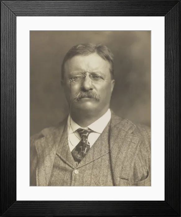Framed Print : Ex-President Theodore Roosevelt stumping for progressive Republicans, Aug.-Oct. 1910