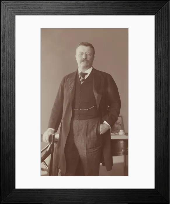 Framed Print : President Theodore Roosevelt in 1902 portrait by Frances Benjamin Johnston (BSLOC_2017_4_48) Framed Print : President Theodore Roosevelt in 1902 portrait by Frances Benjamin Johnston (BSLOC_2017_4_48)