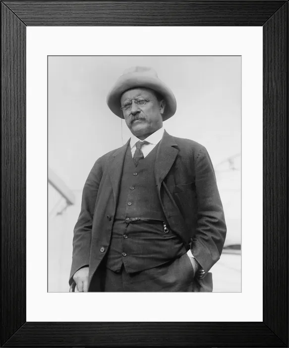 Framed Print : Theodore Roosevelt arrived in NYC from Brazil on May 19, 1914. He was still ill with malaria, walked with a cane, and had lost 55 pounds on the expedition (BSLOC_2017_8_65) Framed Print : Theodore Roosevelt arrived in NYC from Brazil on May 19, 1914. He was still ill with malaria, walked with a cane, and had lost 55 pounds on the expedition (BSLOC_2017_8_65)