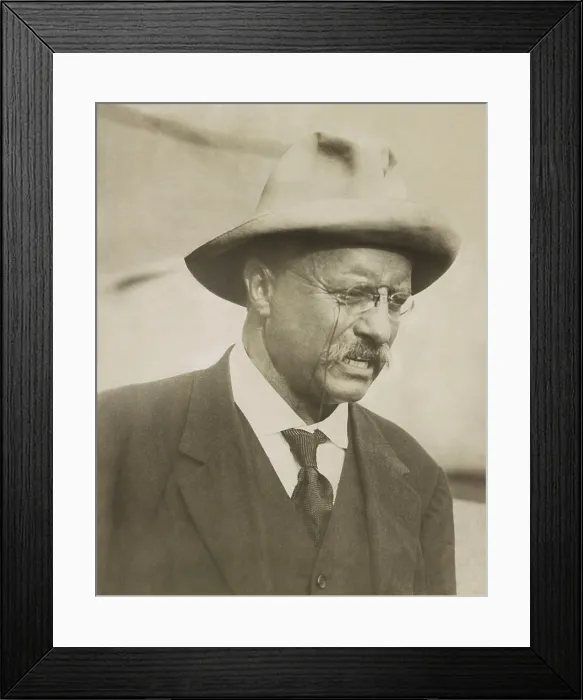 Framed Print : Theodore Roosevelt arriving in NYC from Brazil on May 19, 1914