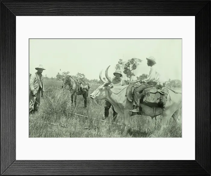 Framed Print : Theodore Roosevelt and others of the Roosevelt-Rondon Expedition, Jan.-Feb. 1913 Framed Print : Theodore Roosevelt and others of the Roosevelt-Rondon Expedition, Jan.-Feb. 1913