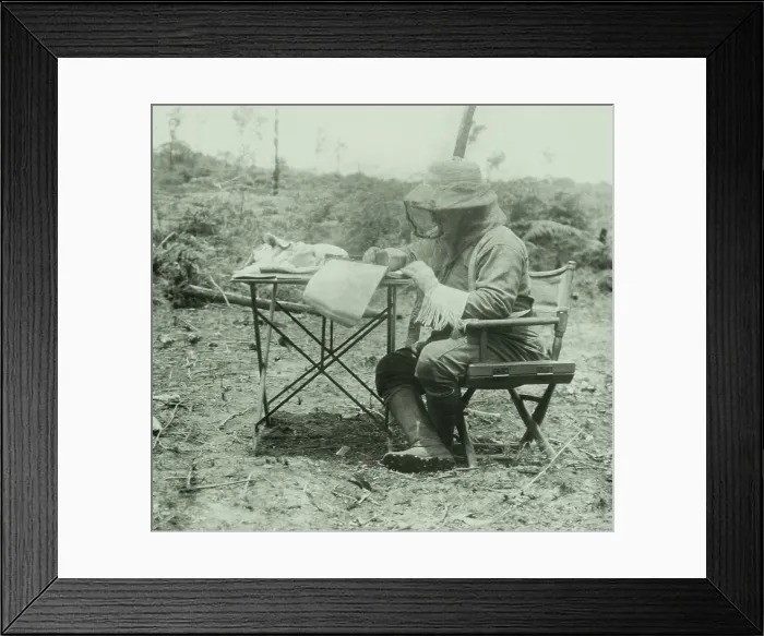 Framed Print : Theodore Roosevelt did his writing in a head net and gloves. He signed a $15, 000 book contract to write a book about his adventure