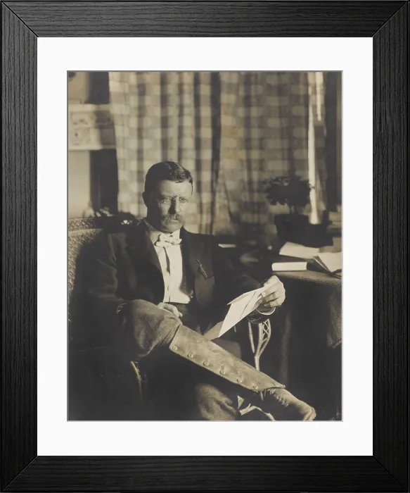Framed Print : Governor Theodore Roosevelt seated with correspondence at Sagamore Hill, 1900