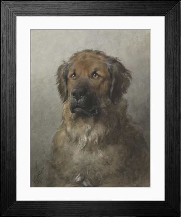 Framed Print : Head of a Newfoundland Dog, by Otto Eerelman, c. 1860-1920, Dutch watercolor painting. (BSLOC_2016_1_260) Framed Print : Head of a Newfoundland Dog, by Otto Eerelman, c. 1860-1920, Dutch watercolor painting. (BSLOC_2016_1_260)