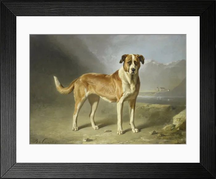 Framed Print : A Saint Bernard Dog, by Bernard te Gempt, c. 1860-79, Dutch painting, oil on canvas (BSLOC_2016_1_295) Framed Print : A Saint Bernard Dog, by Bernard te Gempt, c. 1860-79, Dutch painting, oil on canvas (BSLOC_2016_1_295)