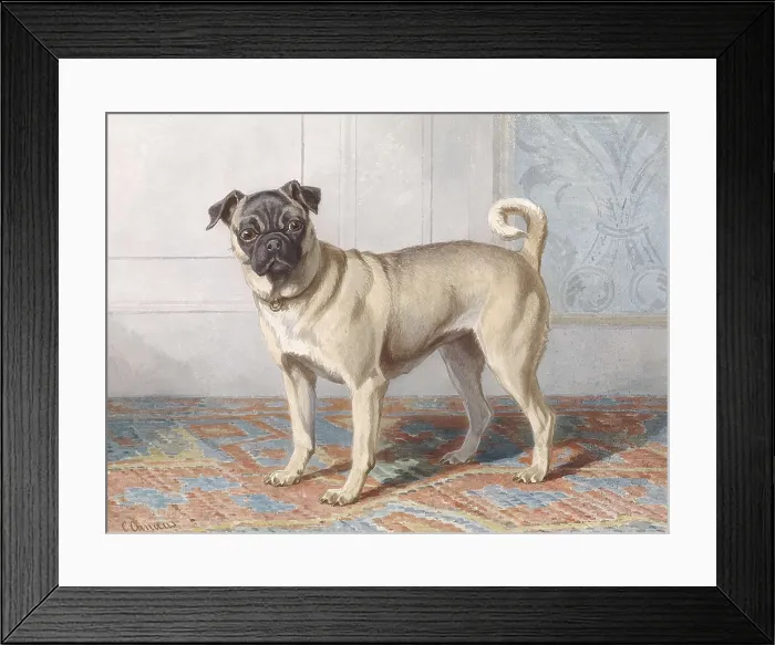 Framed Print : Portrait of Pug of the Vom Rath Family, by Conradijn Cunaeus, c. 1850-80, Dutch watercolor painting. (BSLOC_2016_1_280)
