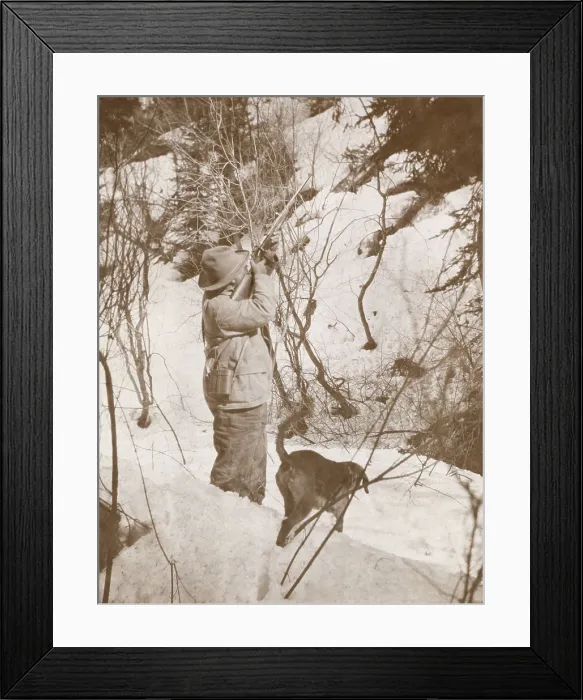 Framed Print : President Theodore Roosevelt shooting one of the big bears out of the tree, Colorado. April 15-30, 1905 (BSLOC_2017_4_84)