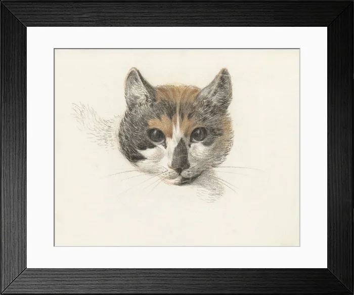 Framed Print : Head of a Calico Cat From the Front, with Open Eyes, by Jean Bernard, Dutch chalk and pencil drawing. (BSLOC_2016_1_268) Framed Print : Head of a Calico Cat From the Front, with Open Eyes, by Jean Bernard, Dutch chalk and pencil drawing. (BSLOC_2016_1_268)