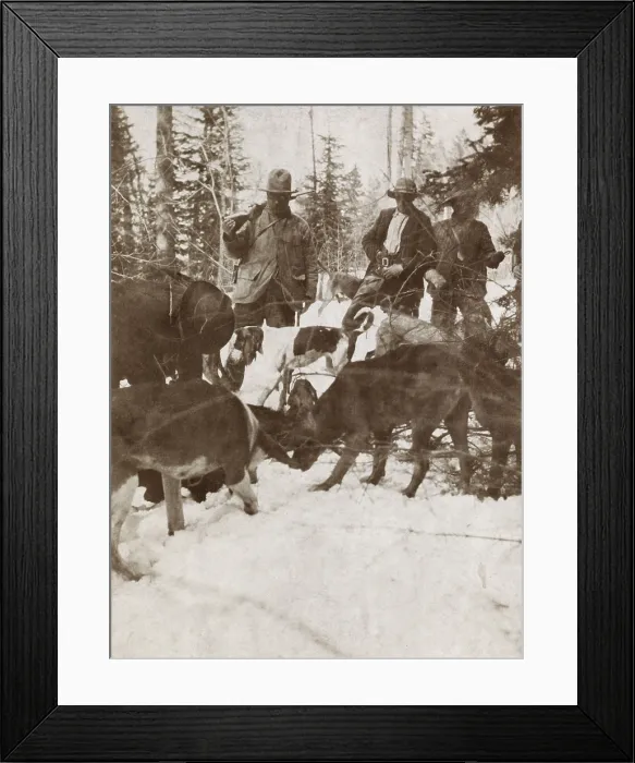 Framed Print : President Theodore Roosevelt standing over a big killed bear, Colorado. At right are his hunting companions John Goff and Jake Borah, April 15-30, 1905 (BSLOC_2017_4_85) Framed Print : President Theodore Roosevelt standing over a big killed bear, Colorado. At right are his hunting companions John Goff and Jake Borah, April 15-30, 1905 (BSLOC_2017_4_85)