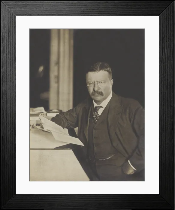 Framed Print : President Theodore Roosevelt, seated at his desk, holding papers, 1904 (BSLOC_2017_4_59)
