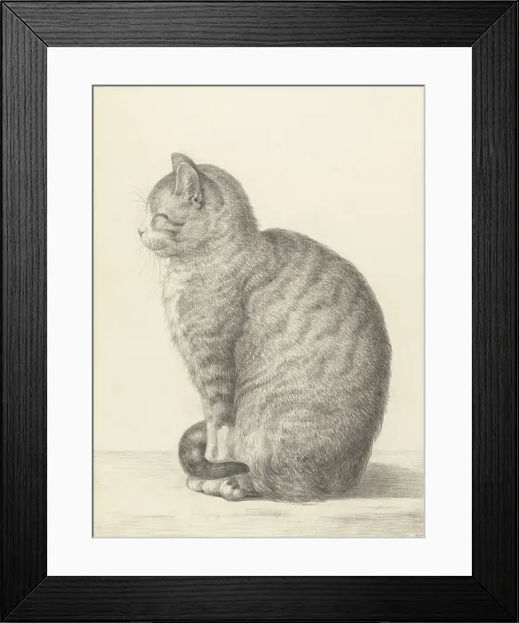 Framed Print : Sitting Cat, Facing Left, by Jean Bernard, 1825, Dutch chalk and pencil drawing. (BSLOC_2016_1_275) Framed Print : Sitting Cat, Facing Left, by Jean Bernard, 1825, Dutch chalk and pencil drawing. (BSLOC_2016_1_275)