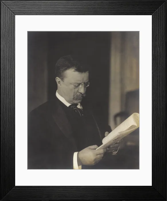 Framed Print : President Theodore Roosevelt, reading in 1904 photo by J. Martin Miller (BSLOC_2017_4_58)