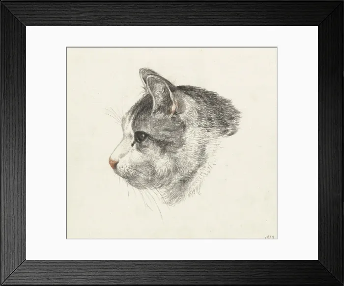 Framed Print : Head of a Cat, Facing Left, by Jean Bernard, 1819, Dutch chalk drawing. (BSLOC_2016_1_266)