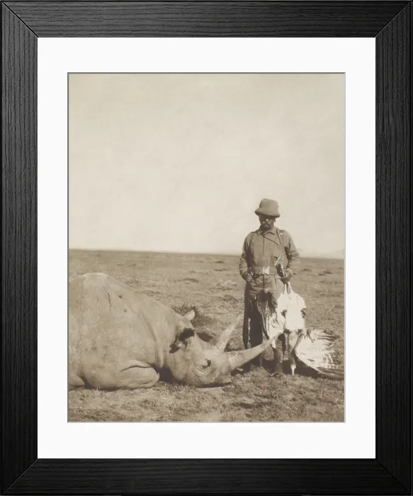 Framed Print : Theodore Roosevelt holding a dead bustard and standing next to a dead rhinoceros. Aug.-Dec. 1909 during the Smithsonian-Roosevelt African Expedition (BSLOC_2017_8_8)
