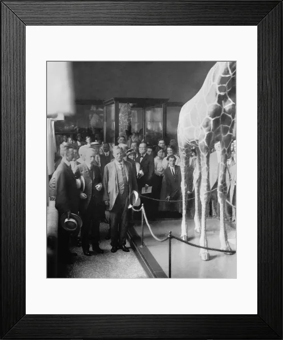 Framed Print : Col. Theodore Roosevelt at a ceremony at National Museum, c. 1914-1917