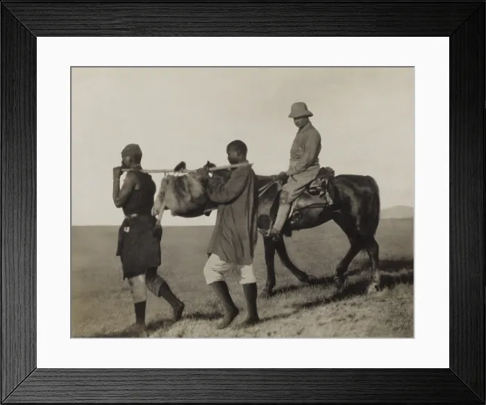 Framed Print : Theodore Roosevelt rides beside African porters carrying an lion skin back to camp, June-Dec. 1909. It was collected for the Smithsonians Natural History Museum (BSLOC_2017_8_7)