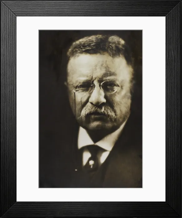 Framed Print : Col. Theodore Roosevelt seated in a carriage, wearing a fur-collared winter coat. Ca. 1913-1918 (BSLOC_2017_8_70) Framed Print : Col. Theodore Roosevelt seated in a carriage, wearing a fur-collared winter coat. Ca. 1913-1918 (BSLOC_2017_8_70)