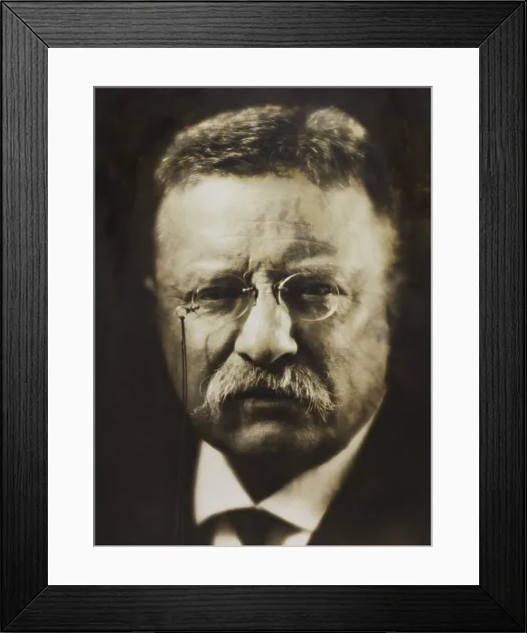 Framed Print : Col. Theodore Roosevelt, April 1917 by noted photographer, Pirie MacDonald Framed Print : Col. Theodore Roosevelt, April 1917 by noted photographer, Pirie MacDonald