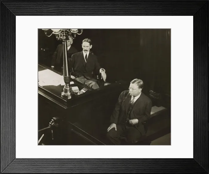 Framed Print : Col. Theodore Roosevelt, April 1917 by noted photographer, Pirie MacDonald. (BSLOC_2017_8_72)