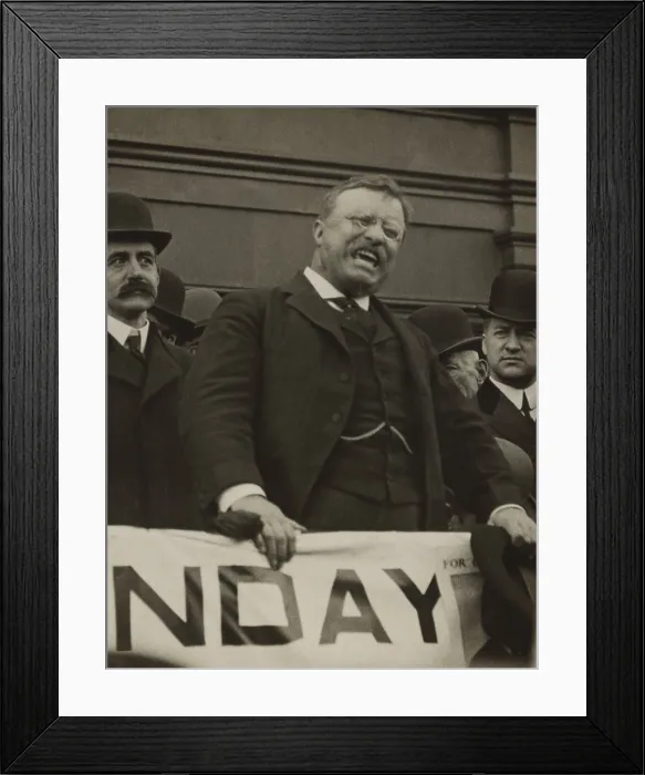 Framed Print : Col. Theodore Roosevelt, testifying in court at Marquette, Michigan, May 27 to June 4, 1913. He was suing newspaper owner George Newett for libel